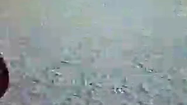 абдал и муслим тигры смотреть онлайн