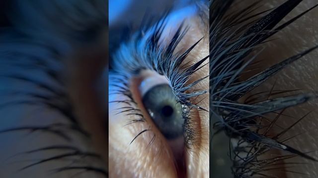 Эффект Электра от @Rassvet_lash смотреть онлайн