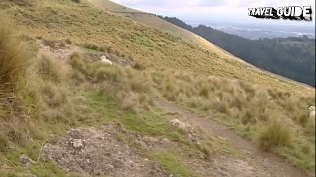 CHRISTCHURCH TRAVEL GUIDE 2022 - BEST PLACES TO VISIT IN CHRISTCHURCH NEW ZEALAND IN 2022 смотреть онлайн