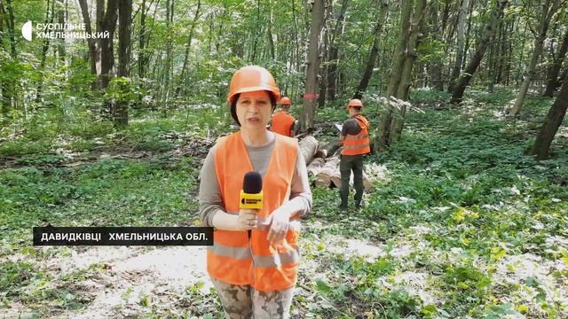 У лісах довкола Хмельницького гинуть ясени смотреть онлайн