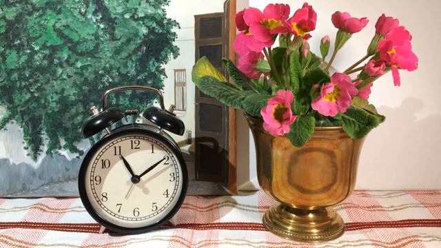 Primula timelapse | When the houseplant drinks a lot of the chalice of the water of life смотреть онлайн