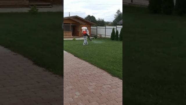 Обработка методом холодного тумана , вид насекомого клещи. смотреть онлайн