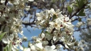 ? ВОЛШЕБНАЯ ЮЛА ПЕРЕХОДА. Медитация.