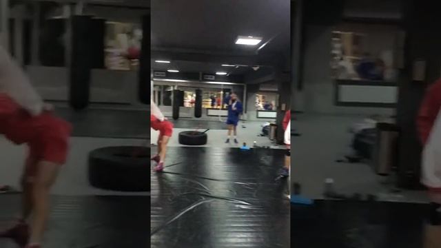 день борьбы, дзюдо, самбо смотреть онлайн
