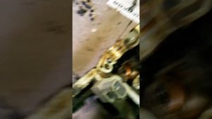 снятие головы и поддона 1 NZ FE