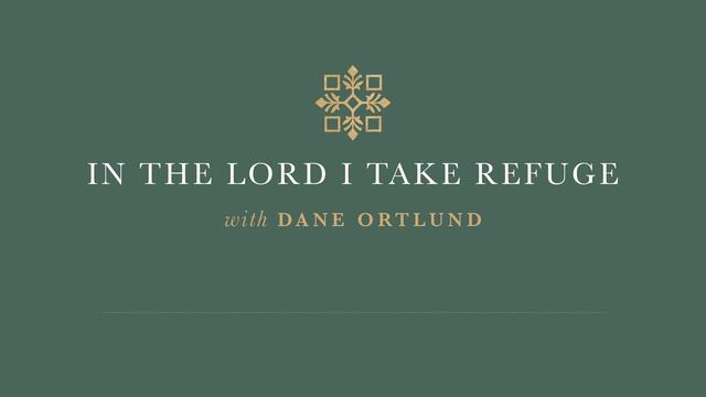 In the Lord I Take Refuge: Psalm 53 - There Is None Who Does Good смотреть онлайн