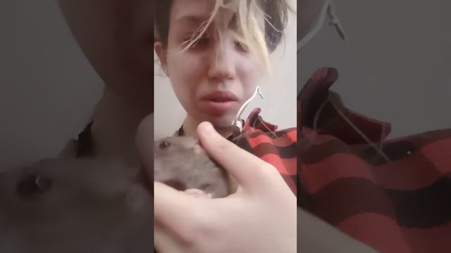 #рек #крыс #саня #крыска #reels #грызуны #милота #рекомендации #животные #галилео #чудо смотреть онлайн