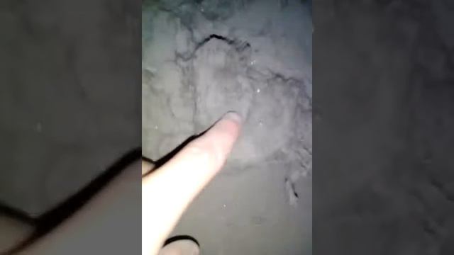 НАДЗЕМНЫЕ ТУНЕЛИ ЗАБРОШЕННОГО завода г. Североморск смотреть онлайн