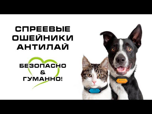 Обзор спреевых антилай ошейников Trainertec SP смотреть онлайн