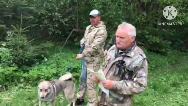 испытания по кровенному следу, Альта диплом 2степени смотреть онлайн