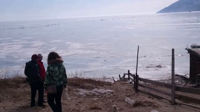 Ходульные деревья - Байкал смотреть онлайн