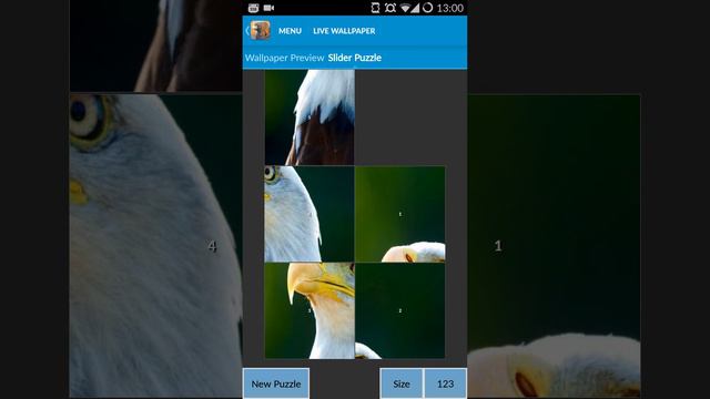 Eagles Wallpapers Android App смотреть онлайн