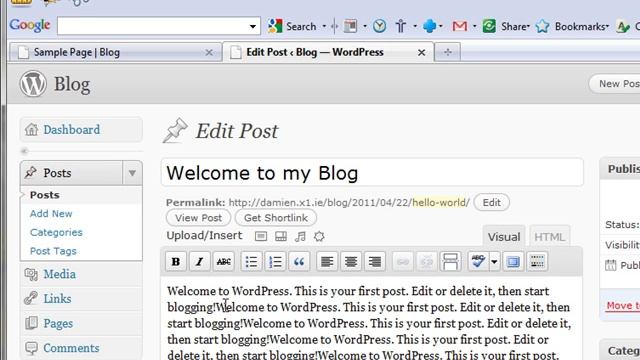 Wordpress Settings and Text смотреть онлайн