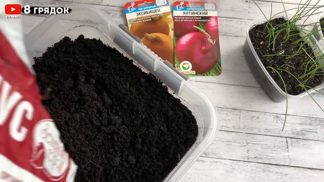 ЗА НИМИ ВСЕ ГОНЯЮТСЯ, А У МЕНЯ УЖЕ ЕСТЬ!