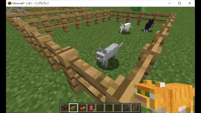 MINECRAFT Resource pack "Renewed Animal" add new animations to Cat смотреть онлайн