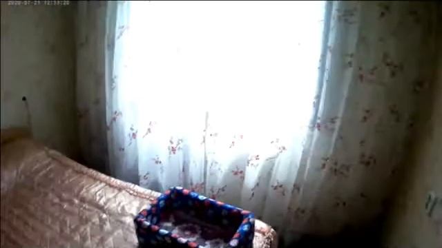 Обработка квартиры от муравьев холодным туманом. смотреть онлайн