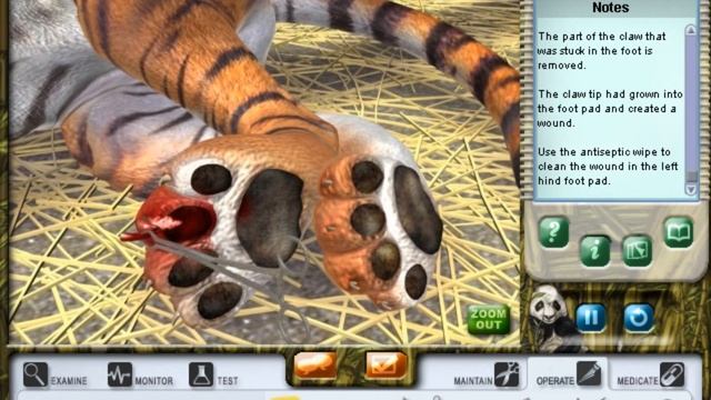 Zoo Vet: Endangered Animals - Case 9 (Sumatran Tiger) смотреть онлайн