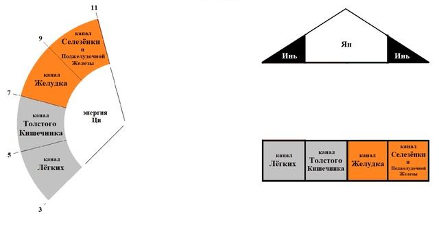 Энергетика человека по Солнцу / Суточные ритмы / У-Син / Об этом молчат врачи