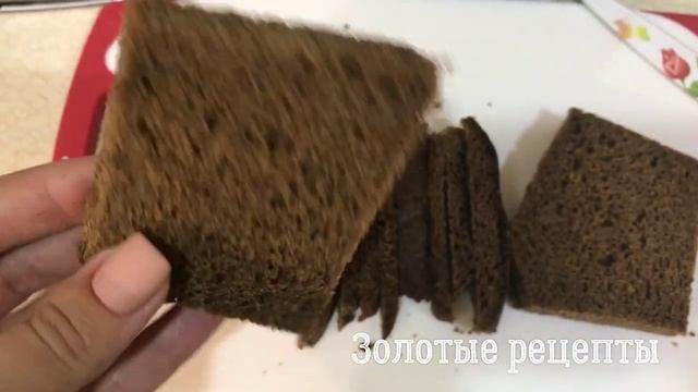 Любимцы на Камеру