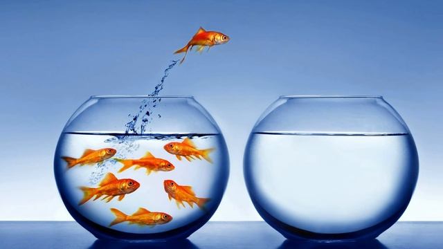 Как максимально быстро изучить Linux смотреть онлайн