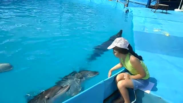 Дети и дельфины 2 смотреть онлайн