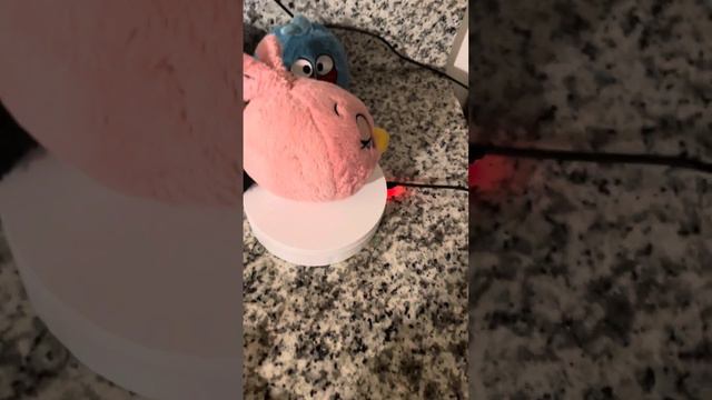 My somewhat complete angry birds plush collection смотреть онлайн
