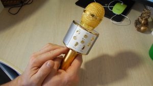 Микрофон караоке WSTER WS 858 + ТЕСТ песня"Кукушка"