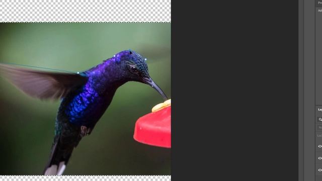 Pen Tool Photoshop cc 2021 смотреть онлайн