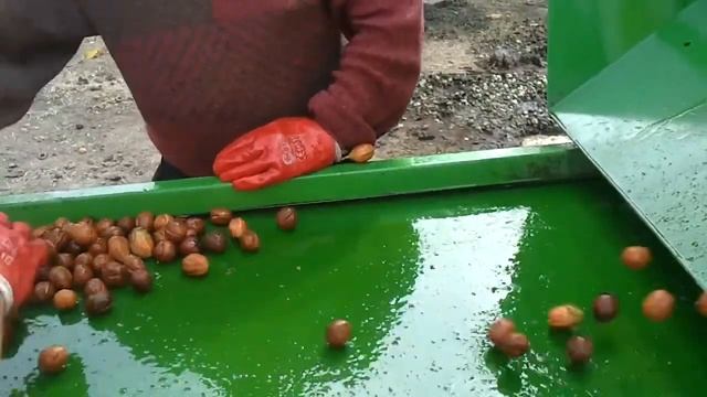 Мойка грецкого ореха. Walnut sink смотреть онлайн