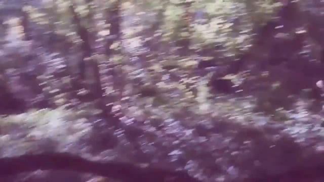 Поиск людей. смотреть онлайн