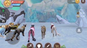 #WildCraft #172 / Лиса против Гепарда на перегонки, кто быстрее в Вайлд Крафт  (#оле7, #doohrysi)