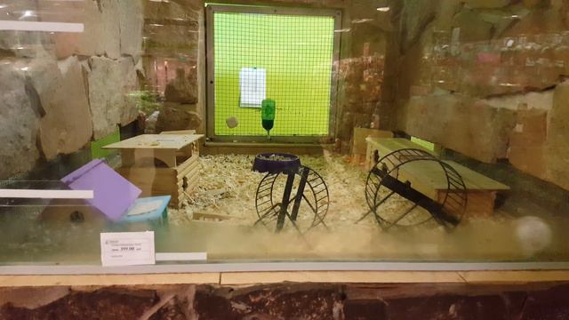 Бешеный хомяк / Speed Hamster / смотреть онлайн