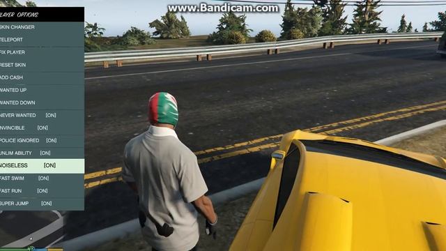 как пользоваться модом Script Hook 5 для гта 5 смотреть онлайн