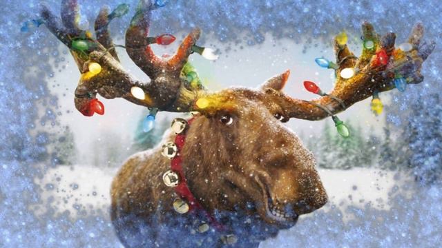 Новогоднее Поздравление с Животными! смотреть онлайн