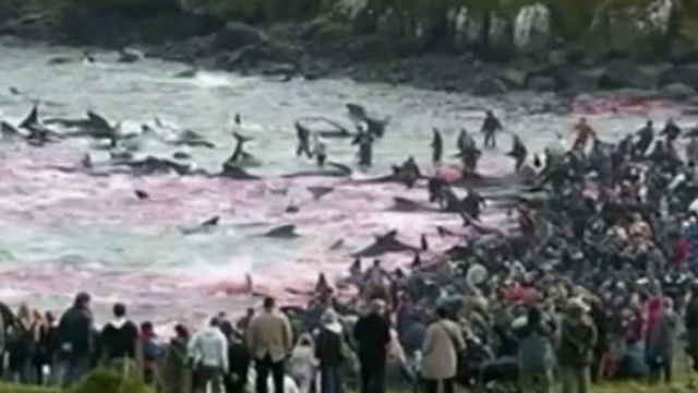 Убийство как шоу смотреть онлайн