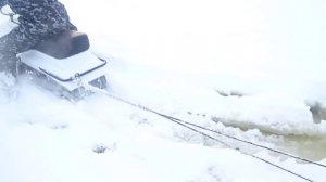 Миниснегоход Пегас