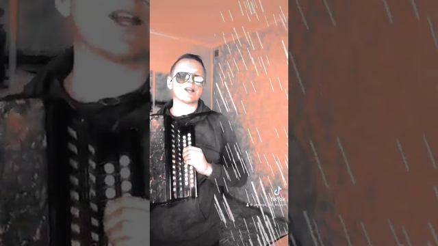 При долині кущ Калини. На Гармошці. смотреть онлайн