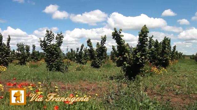 VIA FRANCIGENA: Da Sutri a Campagnano di Roma - di Sergio Colombini смотреть онлайн