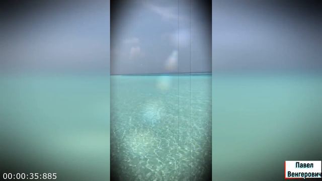 Европейцы получают удовольствие глазами изумительные виды природы смотреть онлайн