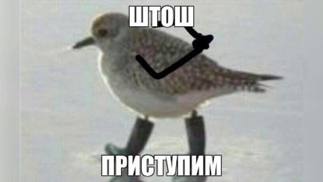 DOTA 2 КАК НАУЧИТЬСЯ ИГРАТЬ? | ГАЙД DOTA 2 2023