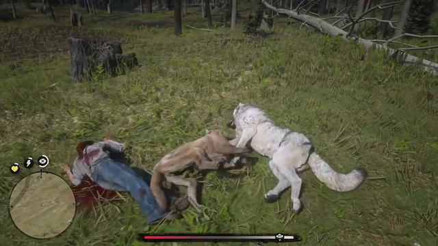 Red Dead Redemption 2 Playing as Cougar-Panther смотреть онлайн