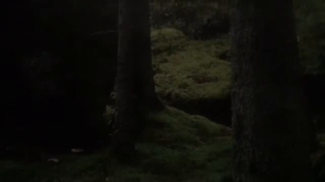 Релакс-комната в офисе Kinnarps(Стокгольм) смотреть онлайн