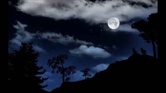 Night Thought. Автор - Мария Романова, 2003 г.