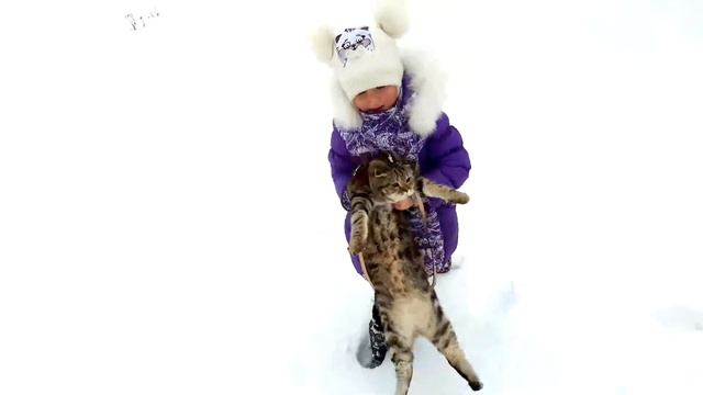 КОТ ПЕРВЫЙ РАЗ НА УЛИЦЕ, ДА ЕЩЕ И В СУГРОБЕ!!! CAT FIRST TIME IN SNOW смотреть онлайн