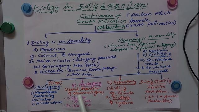 V-036-BOTANY-ENGLISH-POLLINATION-PART-2-Contrivances of Cross Pollination-for-NEET-TRB,10,11&12 смотреть онлайн