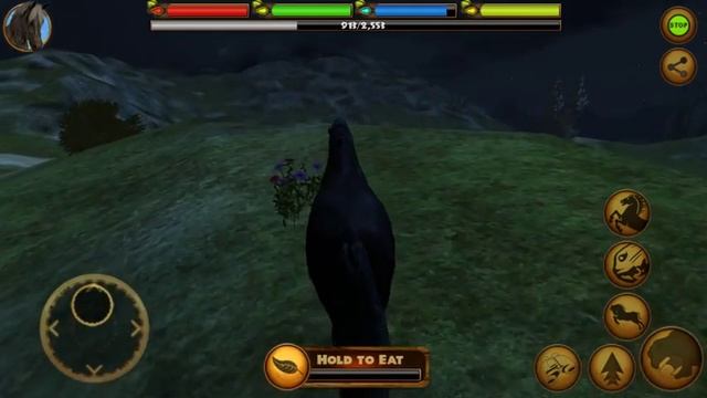 Ultimate Horse Simulator: is the Best in Show! смотреть онлайн