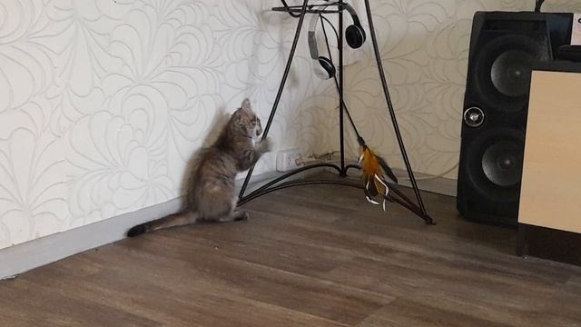 Нюша!!?? смотреть онлайн