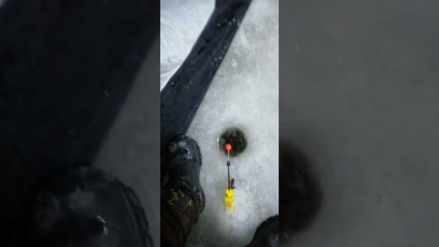 Ночная рыбалка на КОРЮШКУ в Пургу - БРОНКА. смотреть онлайн