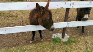 Коломна. Что посмотреть за выходные. День второй.