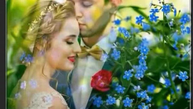 Ко мне постучалась Любовь.., Стихи Светлана Шиманская, муз. и исп. #СамуилФрумович смотреть онлайн